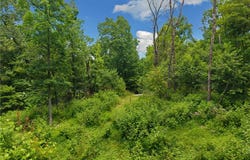 Hodge Lane, Gravette, AR 72736