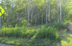 Maple Grove Rd, Duluth, MN 55811