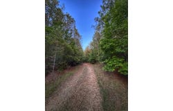 03 Grant Road, Hamilton AL, AL 35593