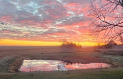 2035 Littlefield Dr, Exira, IA 50076
