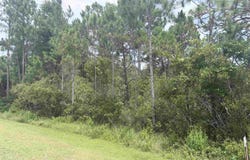 710 Timber Ridge, East Point, FL 32328