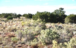 N Santa Clara Road, Williams, AZ 86046