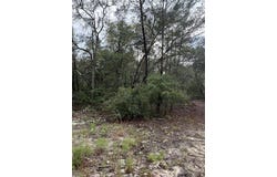 402 Deeda St, Florahome, FL 32140
