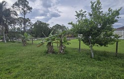 17999 N 46th Court N, The Acreage, FL 33470