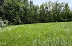 Terry Road, Cedar Grove, TN 38321
