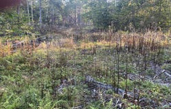 Flagg Mill Road, Naples, ME 04055