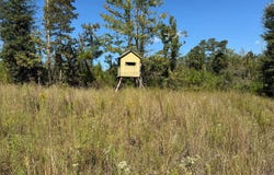 882 Poorhouse Road, Greenville, AL 36037