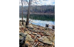721 Pack Lane, Lampe, MO 65681