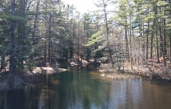 7678 N Shore Rd, Glenfield, NY 13343