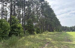 CR 4565, Bivins, TX 75555