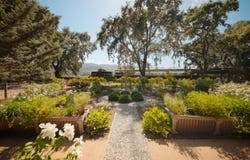 7491 St. Helena Highway, Napa, CA 94558