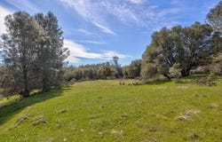 18800 Charleston Road, Volcano, CA 95689