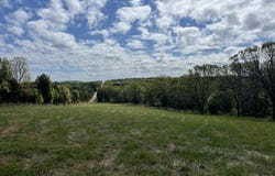 County Road 350, Drury, MO 65638