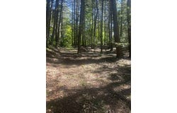 CR 23C, Jewett, NY 12444