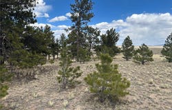 565 Brahma Circle, Hartsel, CO 80449