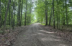 7 E Johnson Road, Ashley, MI 48806