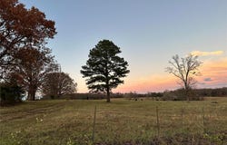 Rosebud, MO 63091