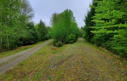 Blackcat Pt Drive, Princeton, ME 04668
