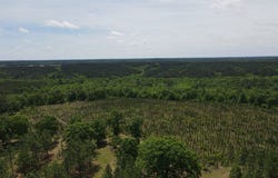 Hwy 84, Elba, AL 36323