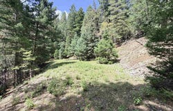 Raspberry Hill Rd, Cloudcroft, NM 88317
