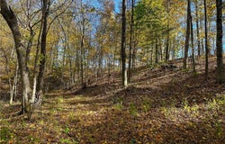 Clark Road, Cutler, OH 45724
