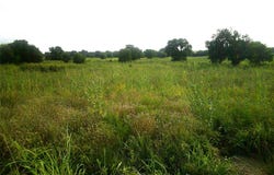 Tr 1 W RC, Bowie, TX 76230