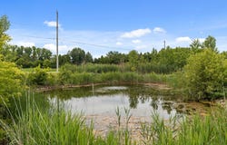 N2749 EVERGREEN Lane, APPLETON, WI 54913