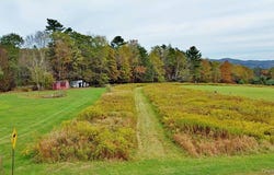 Kautz Road, Callicoon, NY 12723
