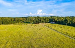 462 FM 3276, Nacogdoches, TX 75961