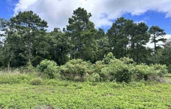3156 Shadow Pine Dr., LaRue, TX 75770