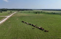 PR 5463, Mexia, TX 76667
