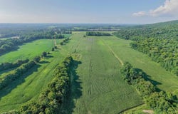 99AC Simmons Lane, New Market, AL 35761