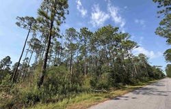N 23rd Ave, Milton, FL 32583