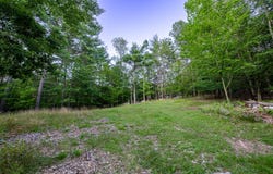 Manning Road, Wilmington, NY 12997