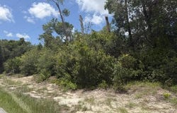 Sandra Drive, Weeki Wachee, FL 34607