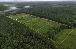 Landscape Rd, Ridgeway, SC 29130
