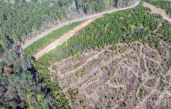 Bryant Road, Morganton, NC 28655