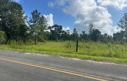 01 Utsey Hill Road, Saint George, SC 29477
