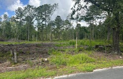 01 Utsey Hill Road, Saint George, SC 29477