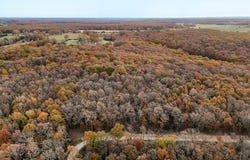 Cedarwood Drive, Marshfield, MO 65706