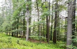 Cranberry Drive, Bushkill, PA 18324