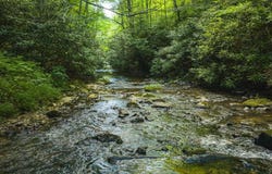 Sawmill Hill Road, Willis, VA 24380