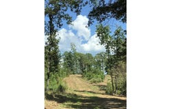 350 CR 364, Broaddus, TX 75929