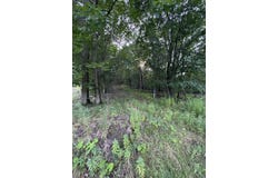 Route 346, Rew, PA 16701