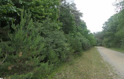 Merrill Drive, Vestaburg, MI 48891