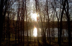 11373 S Rabbit Road, Baldwin, MI 49304