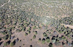 Los Vaqueros Cir, Walsenburg, CO 81089