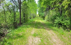 68401 County Road 547, Cook, MN 55723