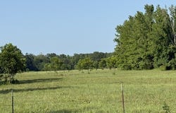 Highway 540, Homer, LA 71040