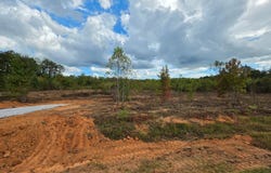 Butler Road, Franklin, GA 30217